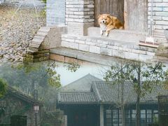 -古堰画乡景区