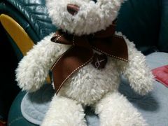 android_upload_pic-济州岛泰迪熊博物馆