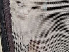 -爱派特动物医院·全科诊疗中心