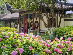 -常州古运河南大街文化旅游区-人民公园