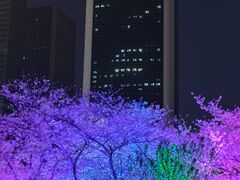 -西北湖绿化广场