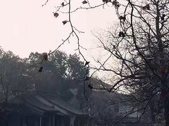 -金庸书院
