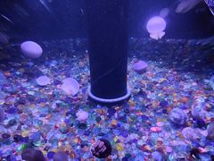 -成都浩海立方海洋公园