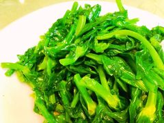 凉拌穿心莲-京尊烤鸭店JINGZUN(春秀路店)