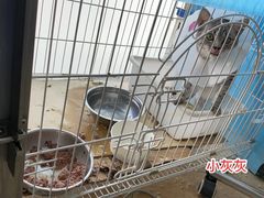 -纳吉亚猫专科动物医院(康都外科中心)