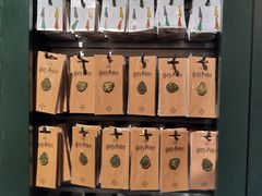 -九又四分之三站台