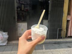 -洪馨椰子
