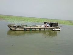 -微山湖红荷湿地景区