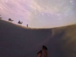 -翱翔飞越地平线