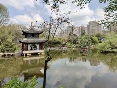 -水绘园