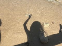 -东姑阿都拉曼海洋公园