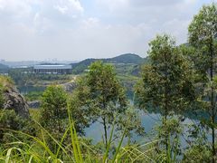 -黄埔油麻山森林公园