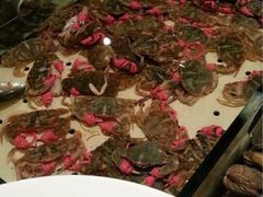 iphone_upload_pic-大连瑞诗酒店