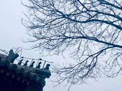 -恭王府博物馆