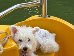 -杭州城北体育公园