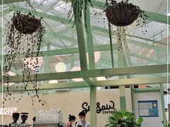 -Seesaw Coffee(上海太阳宫K46店)