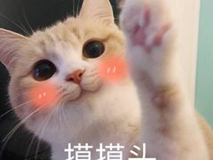-共舞时光猫咖·狗咖(新街口店)