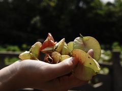 -绍兴镜湖国家城市湿地公园