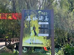 -东平国家森林公园