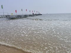 -日照海滨国家森林公园