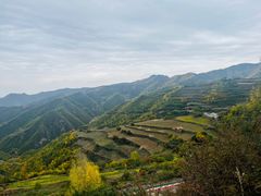 -云顶山风景区