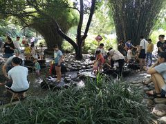 -成都市活水公园