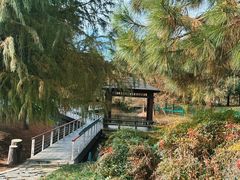 -同里国家湿地公园