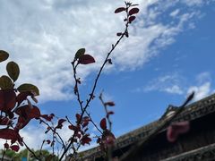 -前童古镇