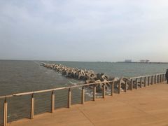 -东疆建设开发纪念公园