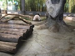 -海南热带野生动植物园