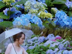 -MOJ coffee(瓯海泽雅水碓坑店)