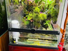 -繁花足道(梅江店)