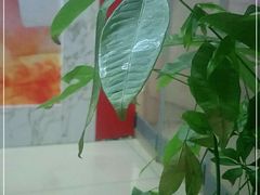 -足来足往养生会所