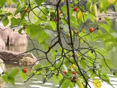 -白马涧龙池景区