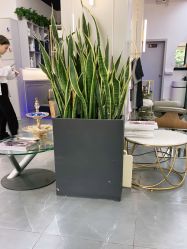 -FUTURE HN男士发型风格设计