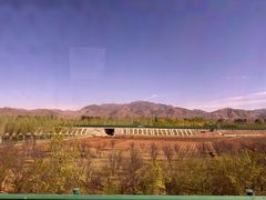 -恩格贝生态旅游区