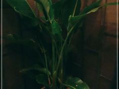 -LANN I 蘭 泰式古法按摩(徐家汇城开YOYO店)