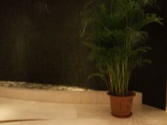 -天津水游城丽筠酒店