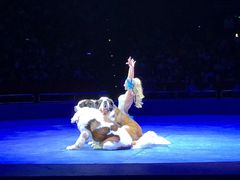 -珠海横琴长隆《卡卡虎奇遇记》