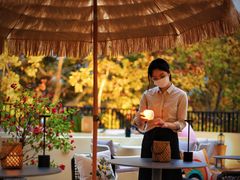 -HUATA 'Holiday Plan 花榻