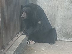 -南昌动物园