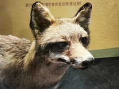 -深圳博物馆历史民俗馆