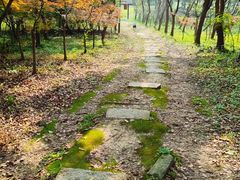 -梁鸿国家湿地公园