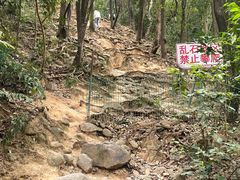 -火炉山森林公园