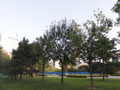 -多乐之日(五道口店)