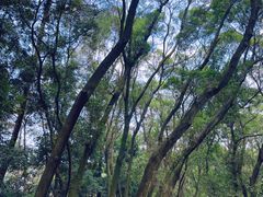 -三门江国家森林公园