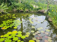 -广州莲花山旅游区