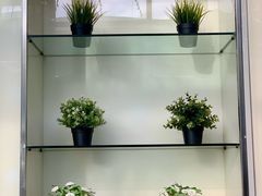 -813芭依珊 BAESAn(皇冠十畝地店)