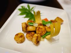 -成都保利公园皇冠假日酒店(熊猫基地店)
