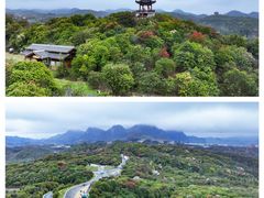 -贵州百里杜鹃风景名胜区